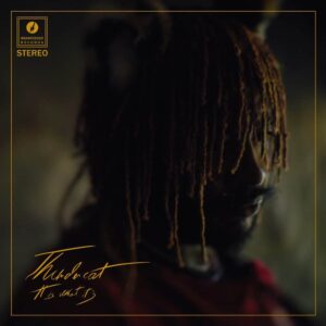 it is what it is by thundercat